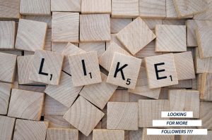 Read more about the article Looking for more followers?