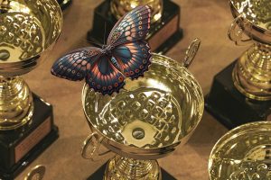 Read more about the article Grateful to Receive the 2025 Award for Most Client-Focused Brand Strategy Agency – Western Cape