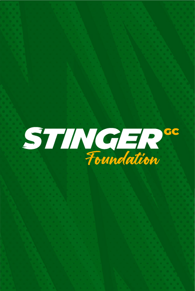 Home_Recent Projects_Stingers